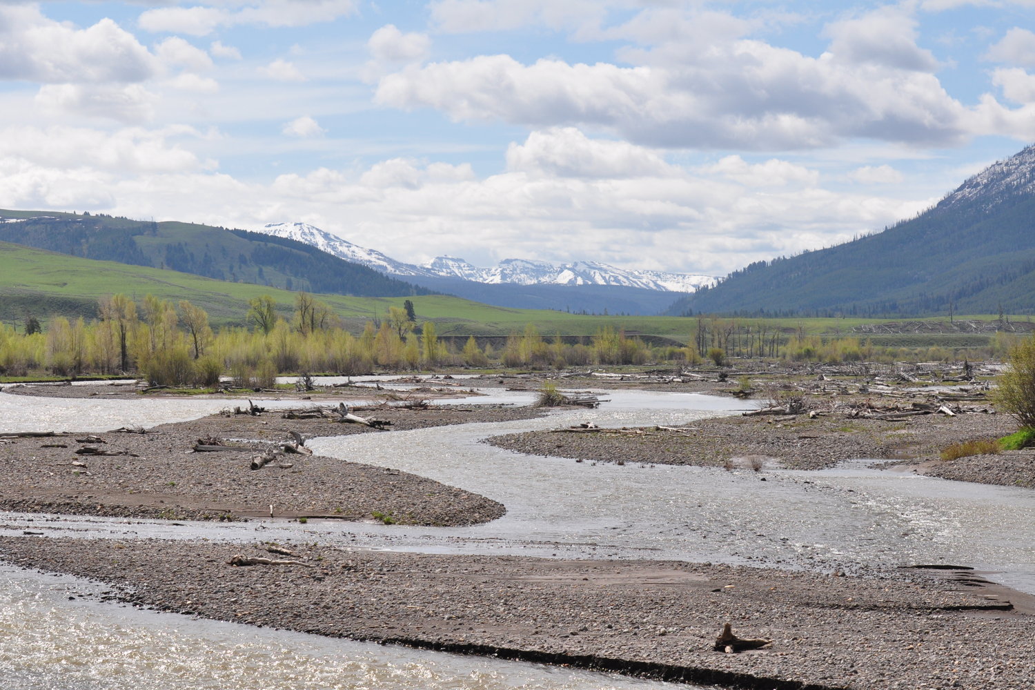 Yellowstone River